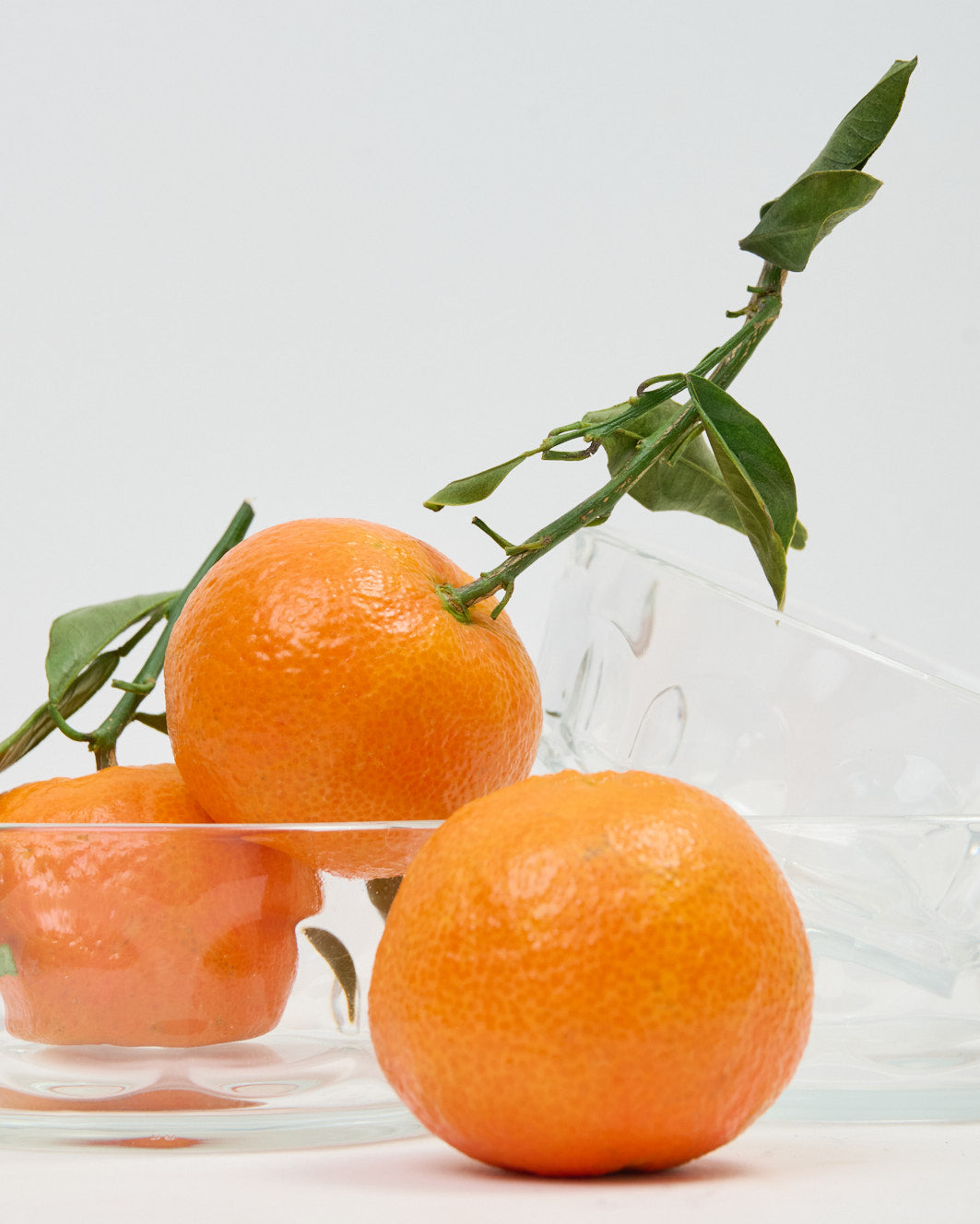 Trio de coupelles, Arcoroc
