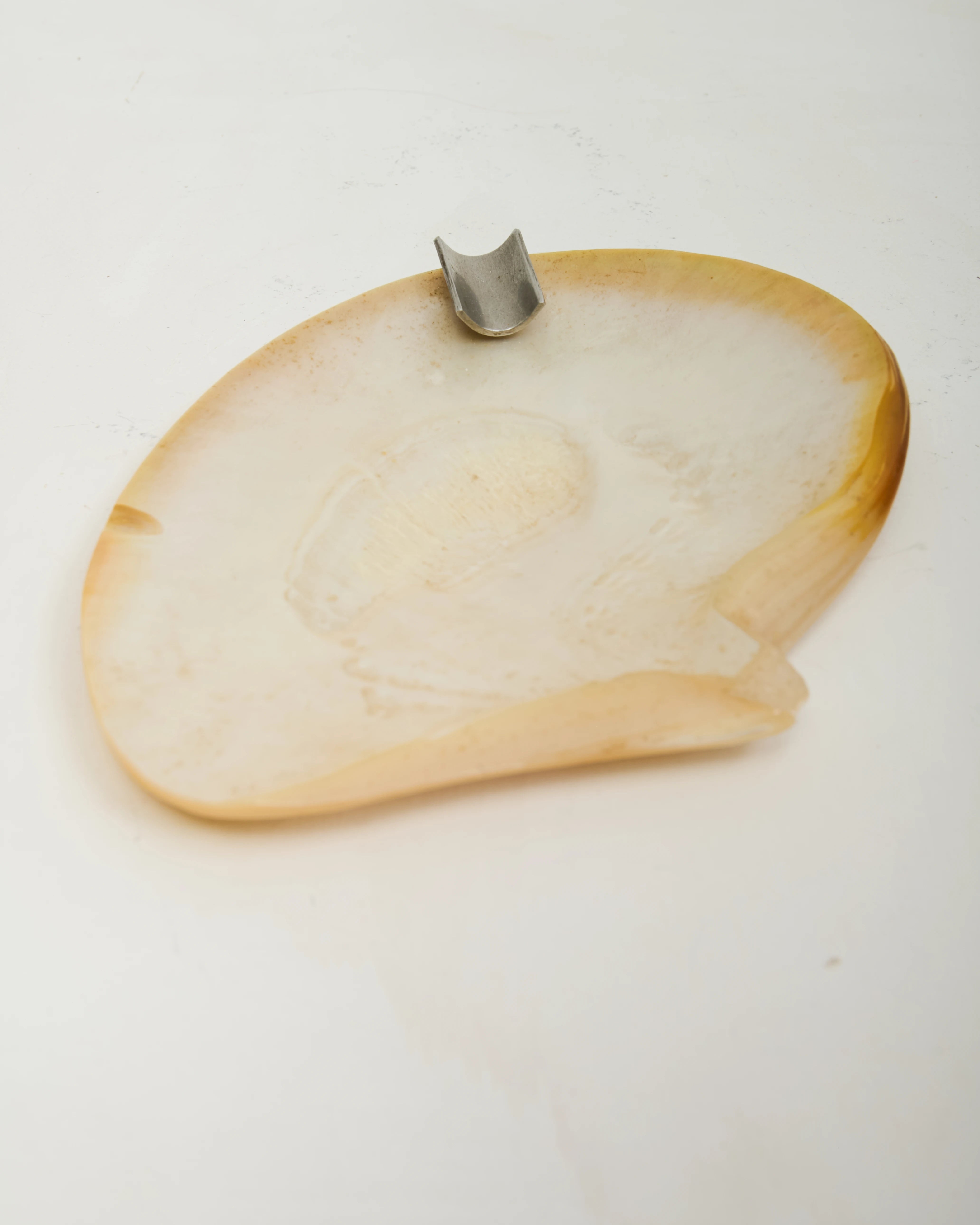 Cendrier coquillage en nacre, 1970s