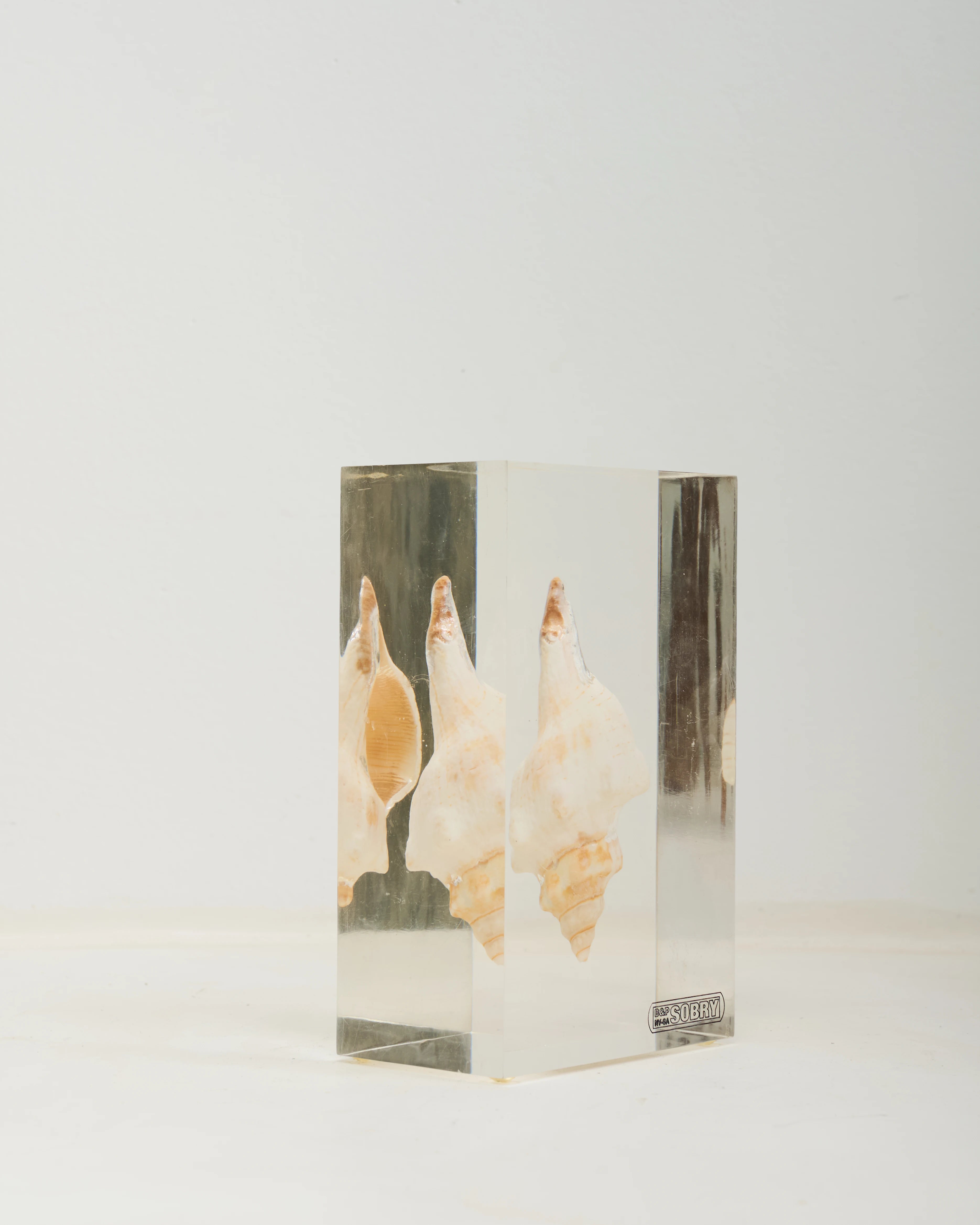 Inclusion coquillage, Sobry, 1970s