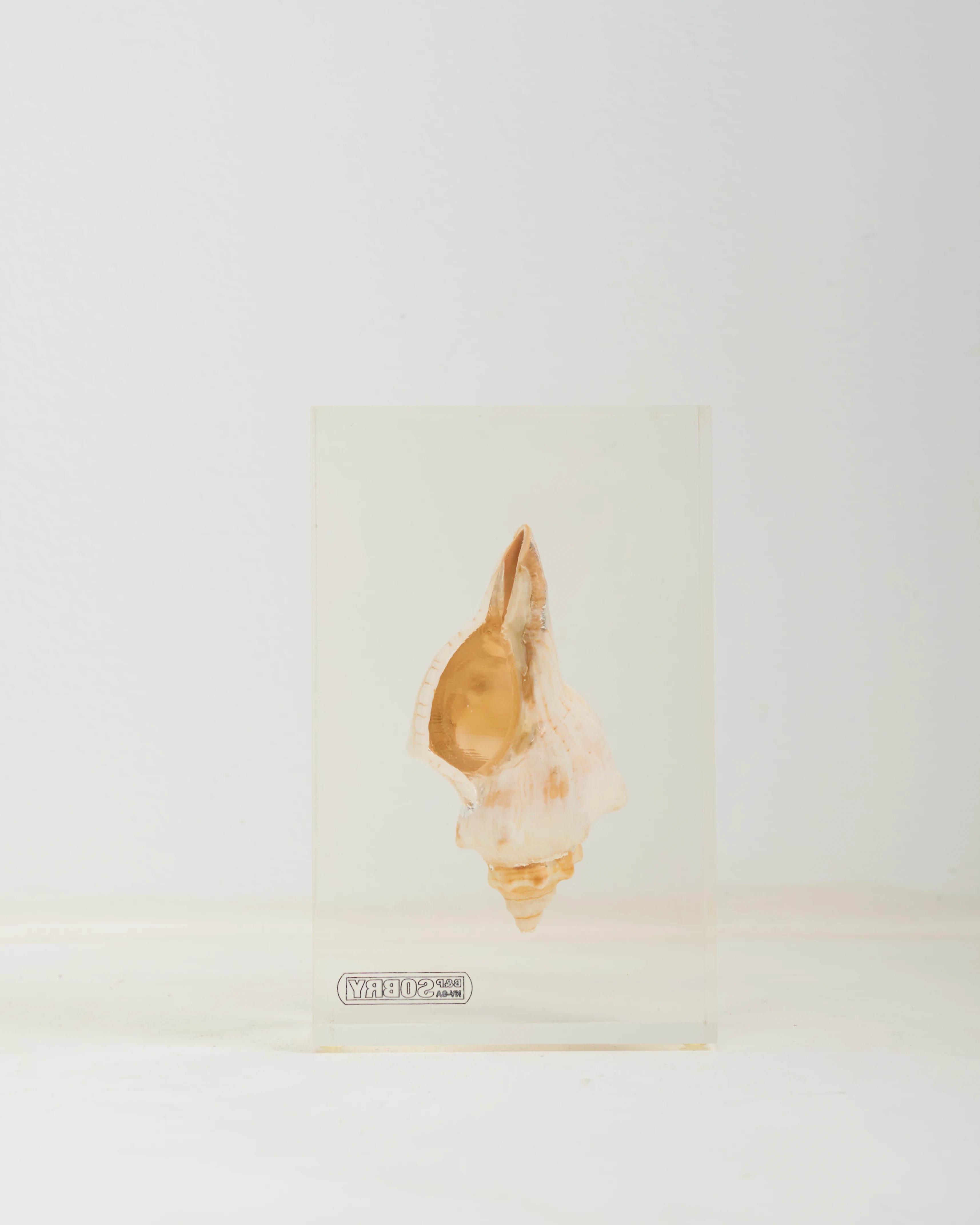 Inclusion coquillage, Sobry, 1970s