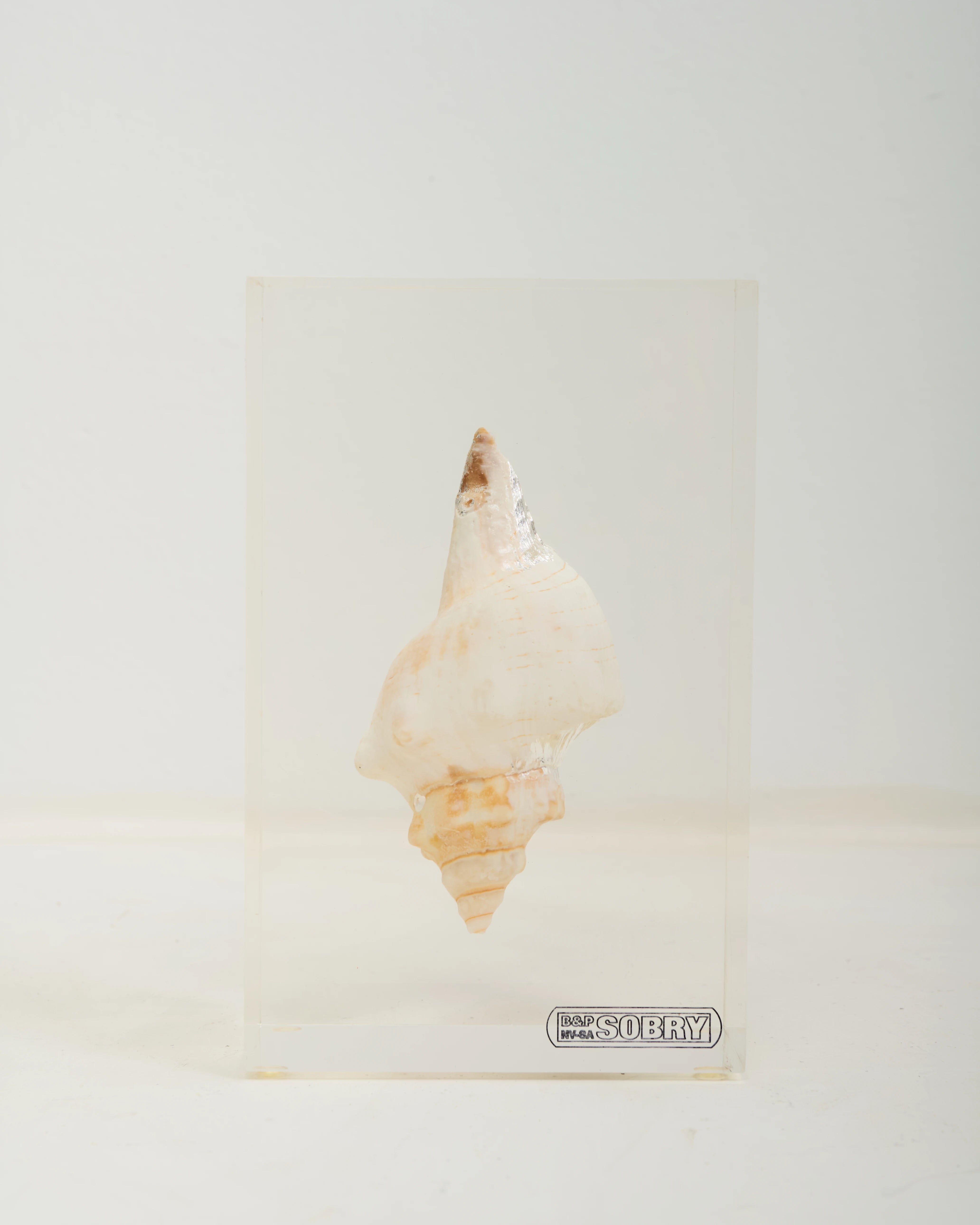Inclusion coquillage, Sobry, 1970s