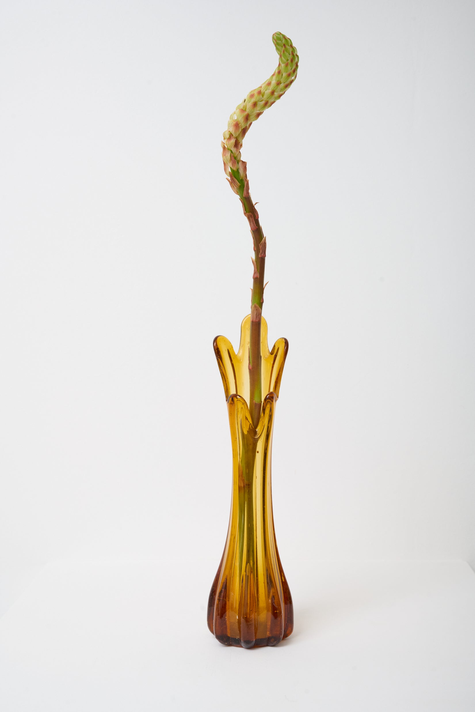Vase marron, Murano, 1970s
