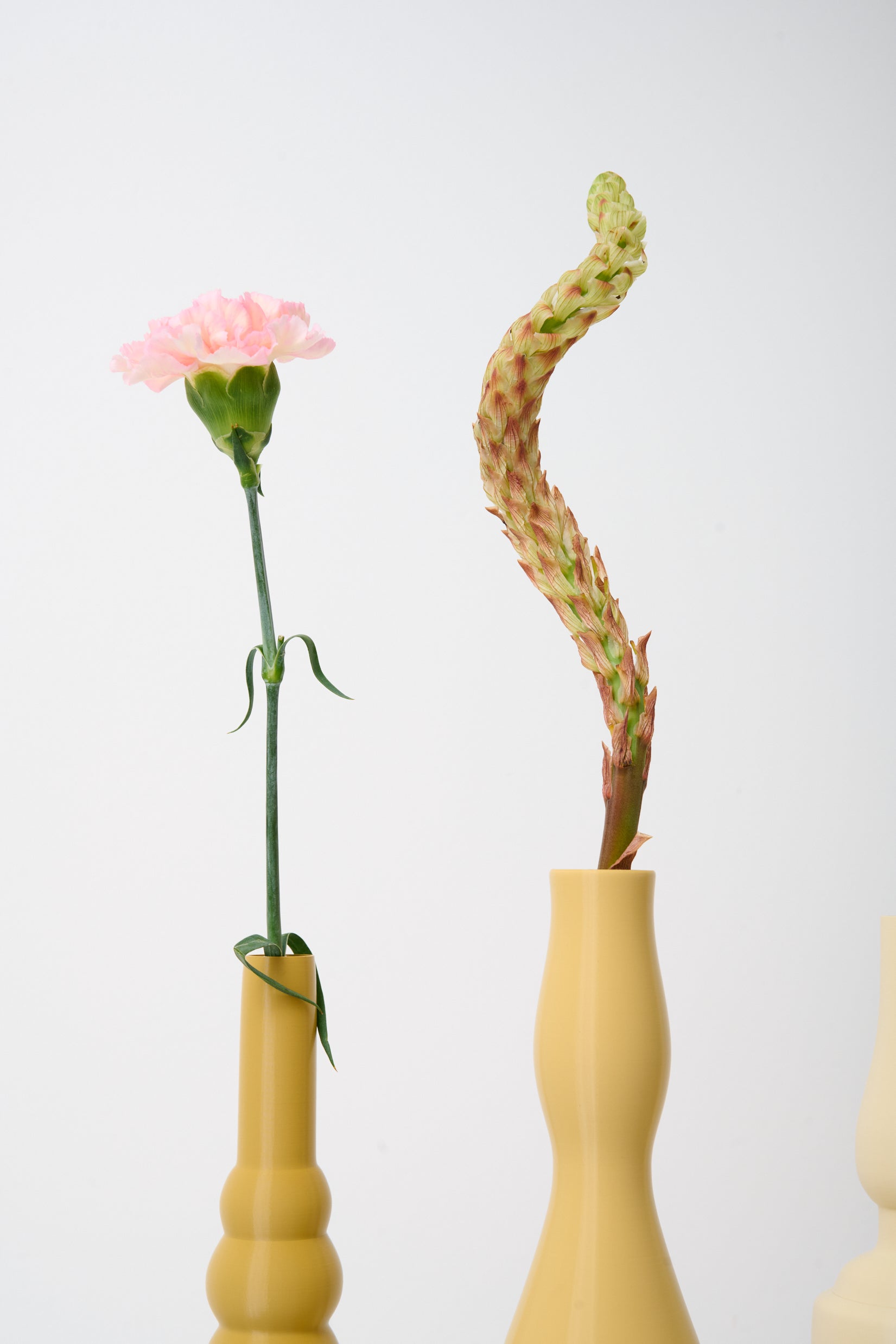 Trio de vases, Giorgio Morandi, Italie
